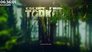 Viibiin - playing escape from tarkov