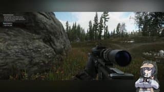 WishyVT - playing escape from tarkov