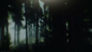 LTSilk - playing escape from tarkov